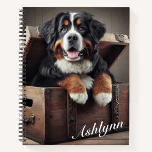 Berner Sennenhund in einer antiken Truhe Notizblock