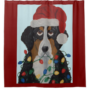 Berner Sennenhund in Weihnachtslichtern verheddert Duschvorhang