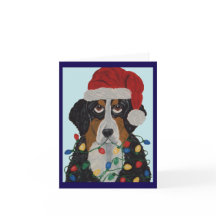 Berner Sennenhund in Weihnachtslichtern verheddert