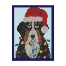 Berner Sennenhund in Weihnachtslichtern verheddert