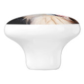 Berner Sennenhund Keramikknauf (Seitenansicht)