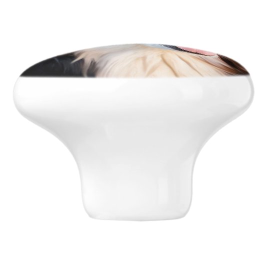 Berner Sennenhund Keramikknauf (Seitenansicht)