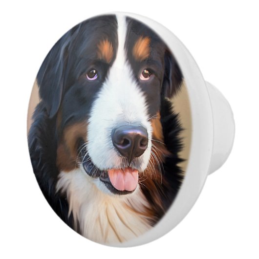 Berner Sennenhund Keramikknauf (Rechts)