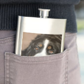 Berner Sennenhund liegt Flachmann (Beispiel)