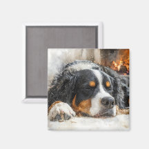 Berner Sennenhund