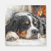 Berner Sennenhund Magnet (Vorne)