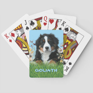 Berner Sennenhund Name Spielkarten