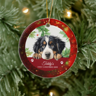 Berner Sennenhund Personalisiertes erstes Weihnach Keramik Ornament