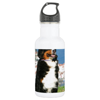 Berner Sennenhund posiert am Strand Trinkflasche