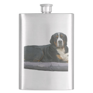 Berner Sennenhund Rost voll liegend Flachmann
