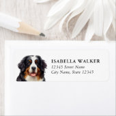 Berner Sennenhund Rücksende-Adresse-Etiketten (Insitu)