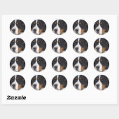 Berner Sennenhund Sticker (Blatt)