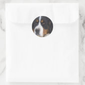 Berner Sennenhund Sticker (Tasche)