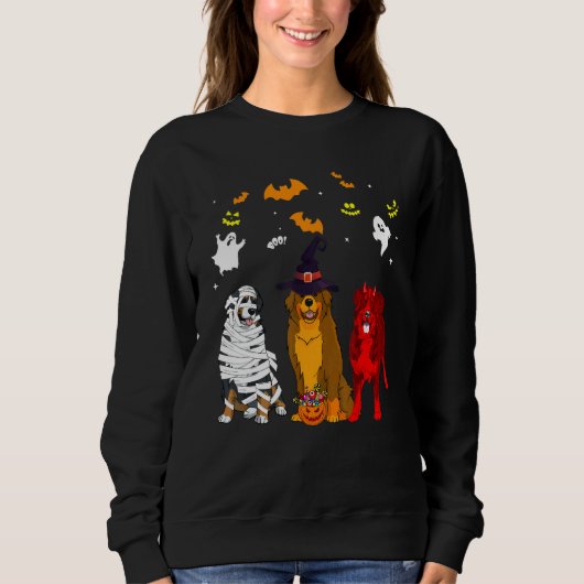 Berner Sennenhund Sweatshirt (Vorderseite)