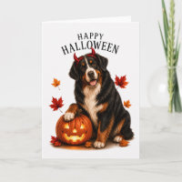Berner Sennenhund Teufelshund