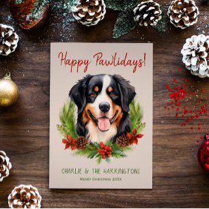 Berner Sennenhund Weihnachten Frohe Pfotentage