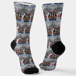 Berner Sennenhund Weihnachten Roter LKW Urlaub Socken