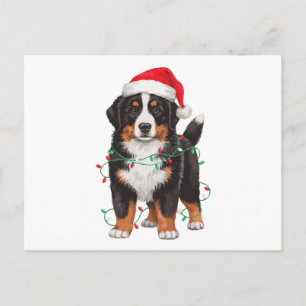 Berner Sennenhund Weihnachten Santa Hut Lichter