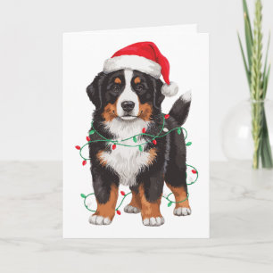 Berner Sennenhund Weihnachten Santa Hut Lichter Karte