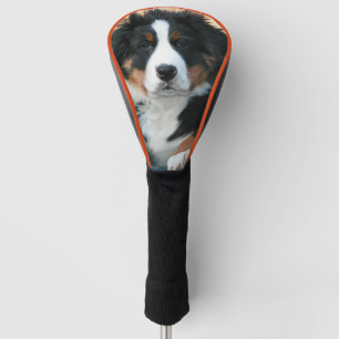 Berner Sennenhund Welpe Golf Headcover