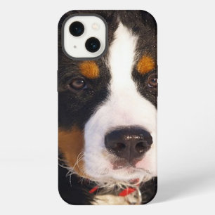 Berner Sennenhund-Welpe iPad-Hülle iPhone 13 Hülle