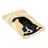 Berner Sennenhund Welpe  Magnet (Rechte Seite)
