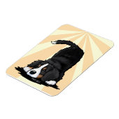 Berner Sennenhund Welpe  Magnet (Linke Seite)