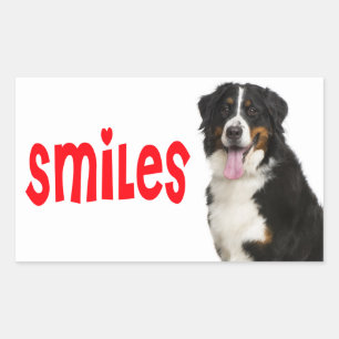 Berner Sennenhund Welpen-Mutter-Hund-Rettung-Vater Rechteckiger Aufkleber