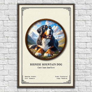 Berner Sennenhund Zoologie-Serie Poster