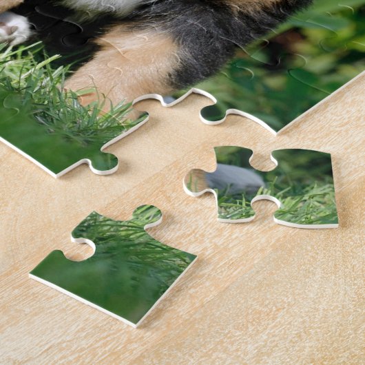 Berner Welpe Puzzle (Seite)