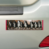 Berner Welpe STOSSDÄMPFER. Autoaufkleber (Auf Auto)