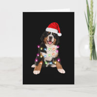 Berner Welpen Weihnachtsgeschenk