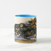 Berners auf einer Steppdecke Tasse (Zentrum)