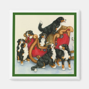 Berners in Sleigh Magnet
