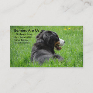 Berners sind uns visitenkarte