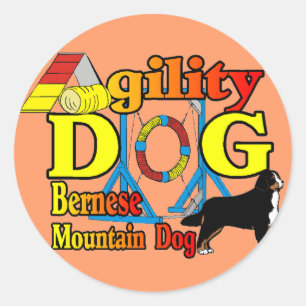 Bernese Agility-Geschenke Runder Aufkleber