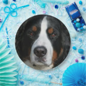 bernese Berg dog.png Pappteller (Party)