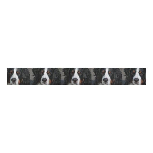 bernese Berg dog.png Ripsband (Vorderseite)