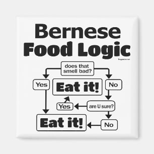 Bernese Food Logic Magnet