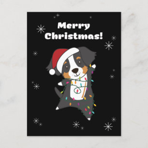 Bernese Frory Christmas Happy Christmas Hunde Feiertagspostkarte