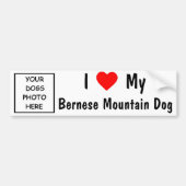Bernese Gebirgshund Autoaufkleber (Vorne)