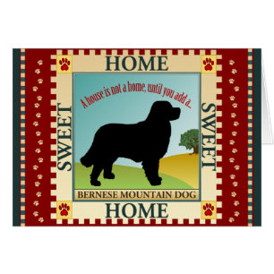 Bernese Gebirgshund [Berner]