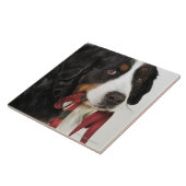 Bernese Gebirgshund (Berner Sennenhund) mit Fliese (Seite)