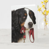 Bernese Gebirgshund (Berner Sennenhund) mit Karte (Gelbe Blume)