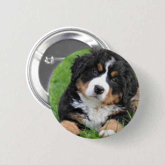 Bernese Gebirgshund Button (Vorne & Hinten)