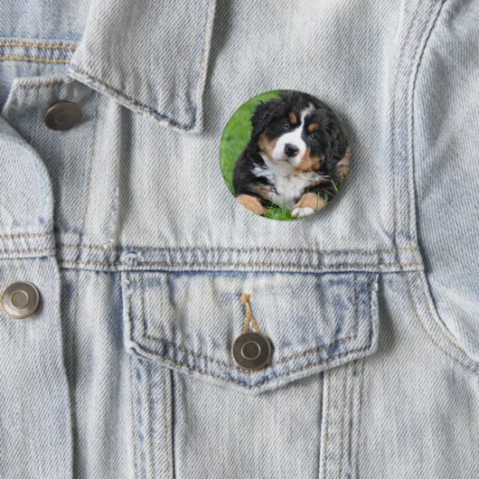 Bernese Gebirgshund Button (Beispiel)