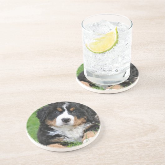 Bernese Gebirgshund Getränkeuntersetzer (Seite)