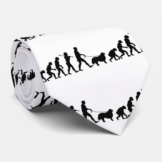 Bernese Gebirgshund Krawatte (Gerollt)