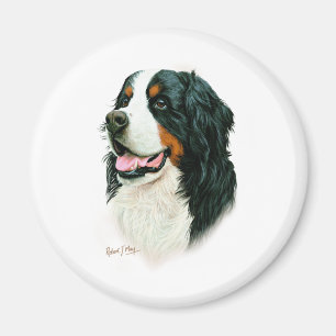 Bernese Gebirgshund Magnet