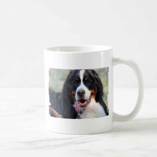 Bernese Gebirgshund mit der großen Kaffeetasse (Rechts)